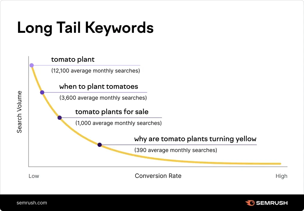 Graph showing how long tail keywords like 'why are tomato plants turning yellow' have lower search volume but higher conversion rates than broad terms like 'tomato plant'.