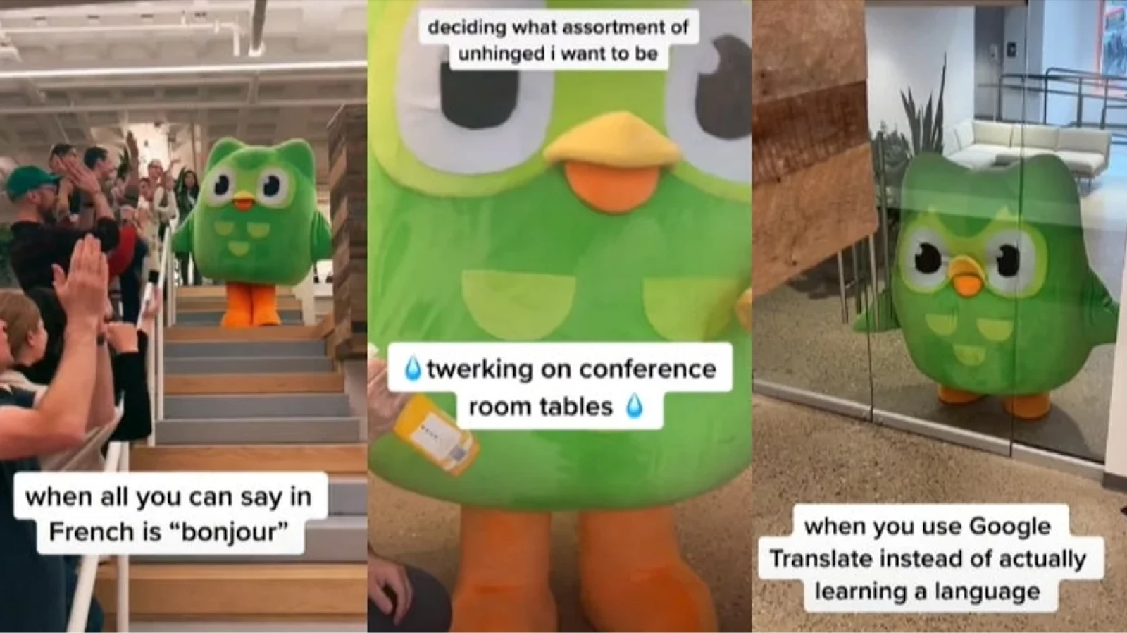 Three TikTok frames showing the Duolingo owl mascot in different office settings, interacting with people and conveying humorous language learning scenarios.