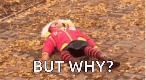 Child in a pink coat lying on a leaf-covered ground with the text 'BUT WHY?' highlighting confusion about Google Ads Data Hub.