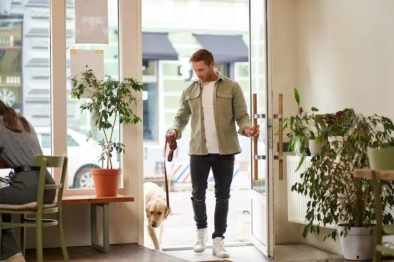 Local Search Strategy — 4 Ways To Turn Searches Into Sales